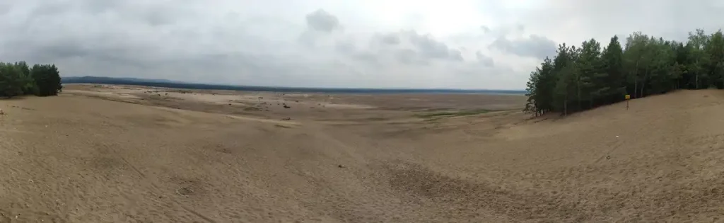 Panorama Pustyni Błędowskiej